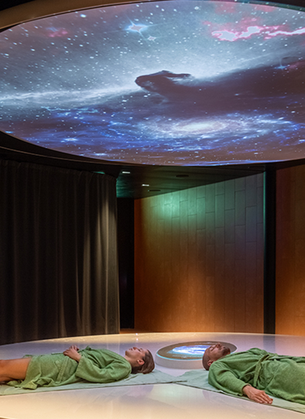 Mesokosmos_Liegemuschel